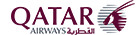airline logotype